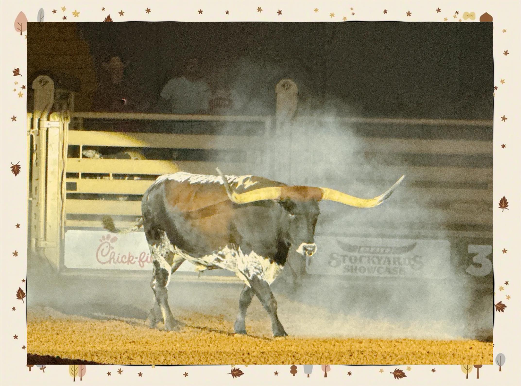 包含刷新纪录首场状态出色，皇家马德里观众沸腾！，莱万多夫斯基重返赛场全场沸腾不已的词条-爱游戏数据中心